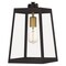 Quoizel Amberly Grove 1-Light Western Bronze Outdoor Hanging Lantern AMBL1908WT - alternate 2